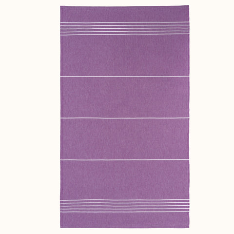 Lucy's Scratch — Purple - Lucy
