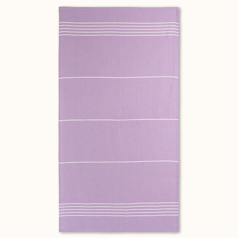 Lucy's Scratch — Lilac - Lucy